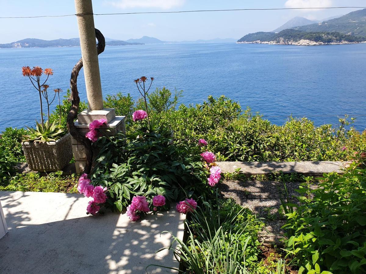 Apartments Bajo - Free Parking Dubrovnik Exterior foto