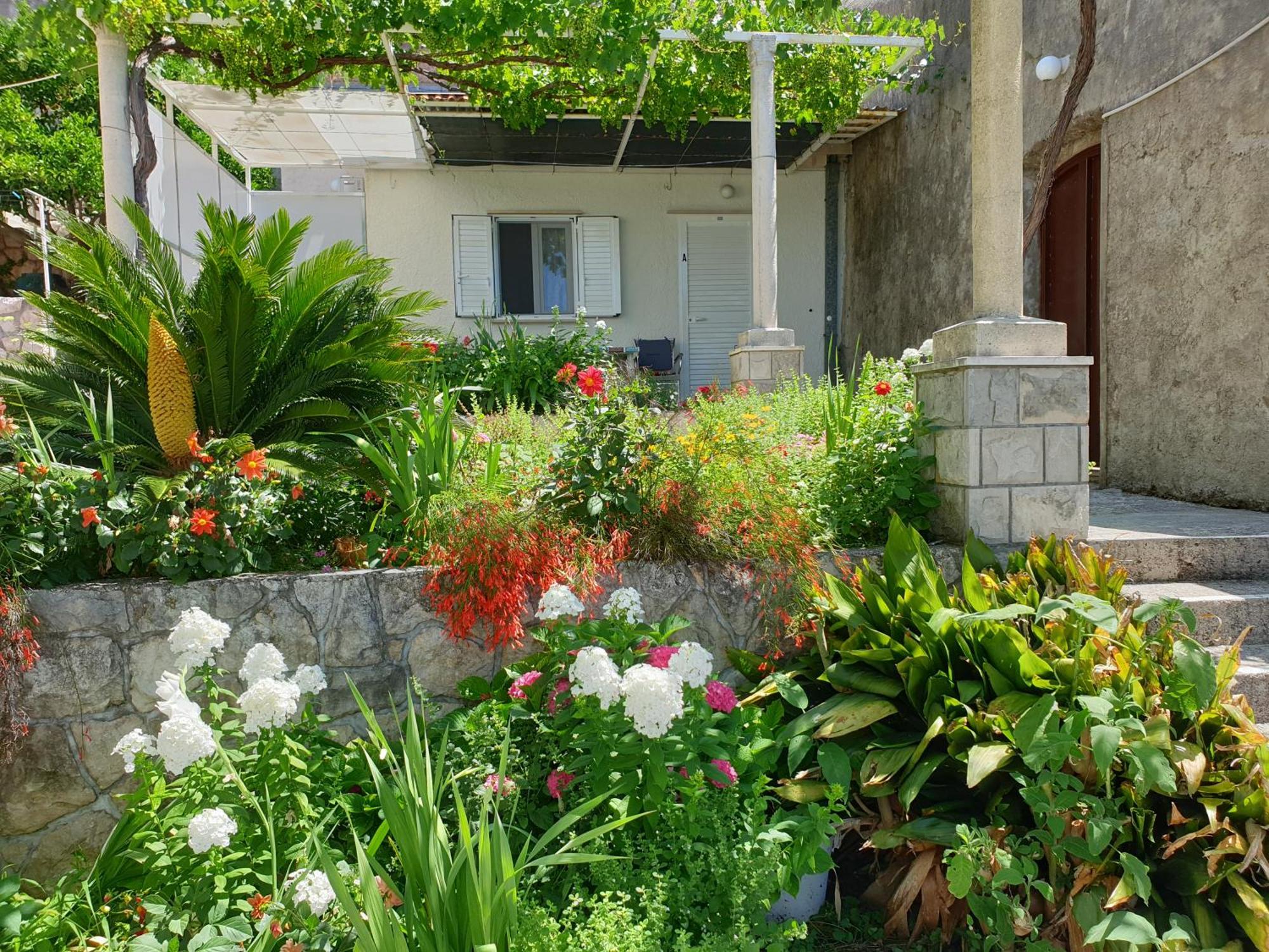 Apartments Bajo - Free Parking Dubrovnik Exterior foto